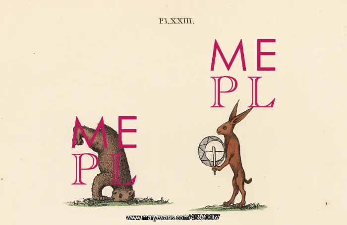 : Medieval trained animals : Medieval trained animals