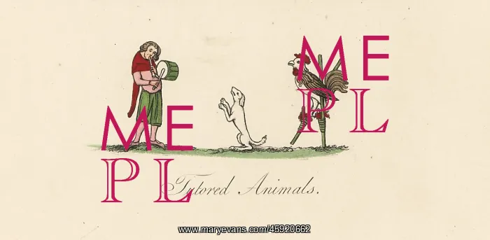 : Medieval trained animals : Medieval trained animals