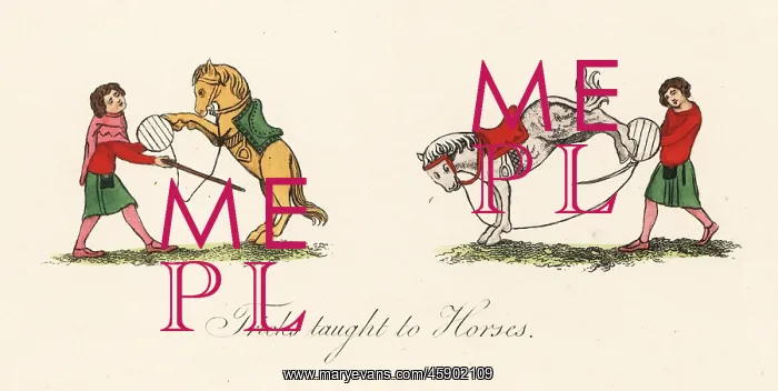 : Medieval trained horses : Medieval trained horses
