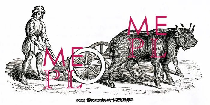  : Medieval two-wheeled plough