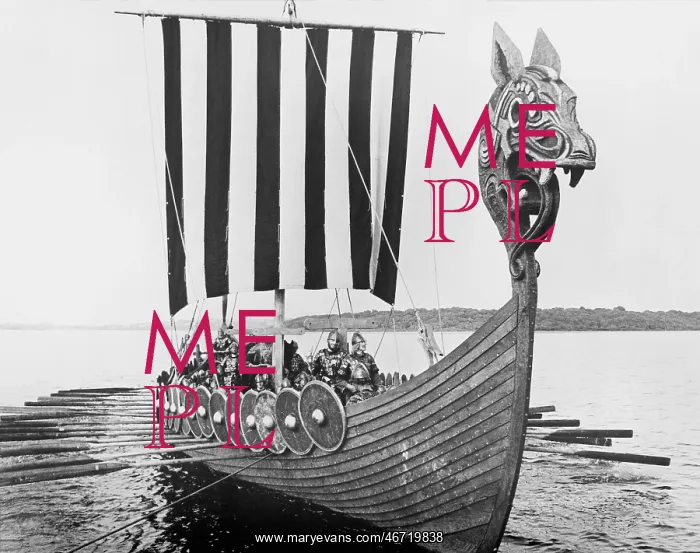 : MEDIEVAL VOYAGE : MEDIEVAL VOYAGE
