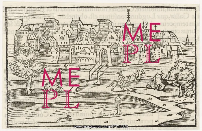 : Medieval walled city with moat and drawbridge : Medieval walled city with moat and drawbridge