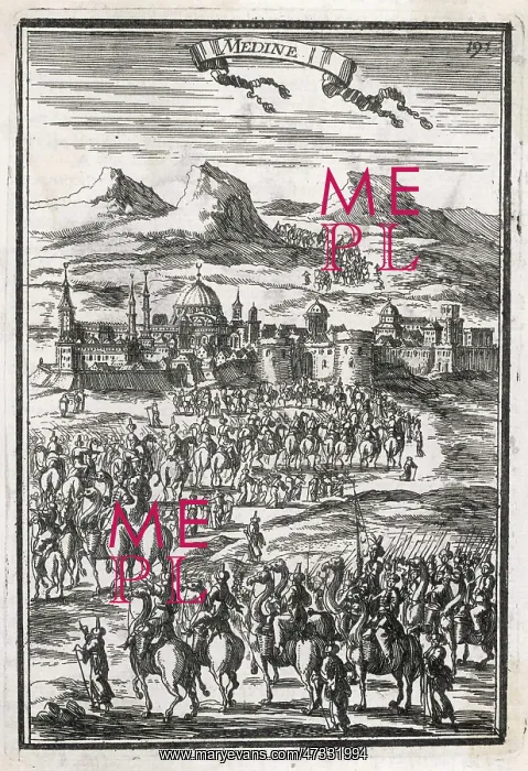 : MEDINA 1719 / 1683 : MEDINA 1719 / 1683