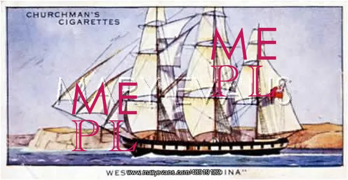 : MEDINA SAILING SHIP : MEDINA SAILING SHIP