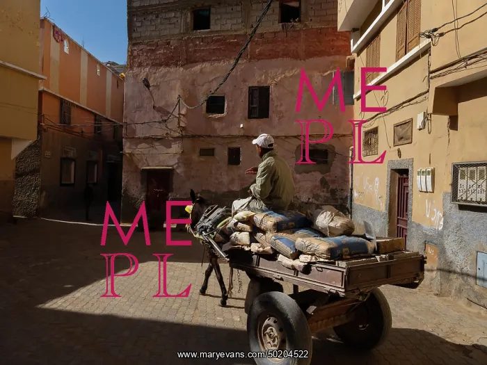 : Medina, Taroudant, Morocco : Medina, Taroudant, Morocco
