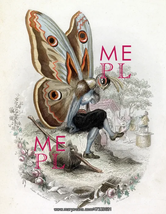  : Meditative Lepidoptera
