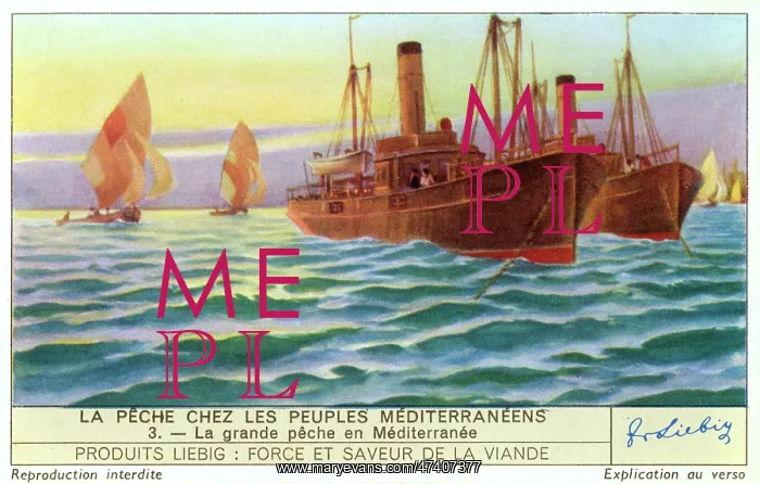: MEDITERRANEAN STEAMERS : MEDITERRANEAN STEAMERS