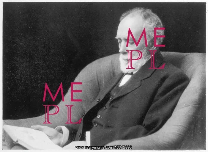 : Medium - Lees : Medium - Lees