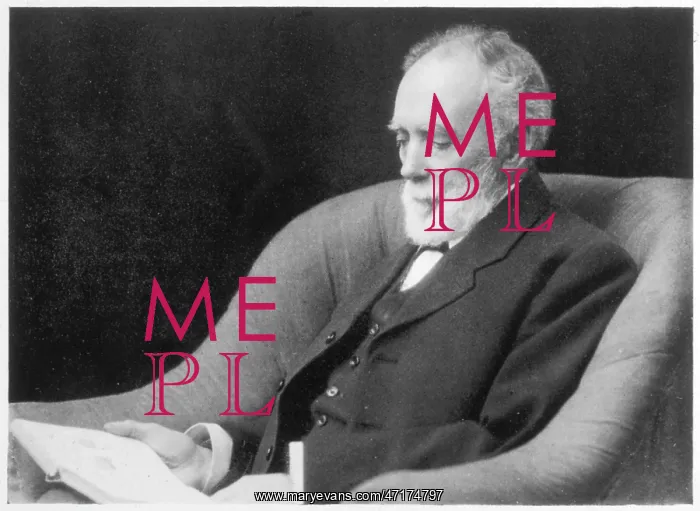 : Medium - Lees : Medium - Lees