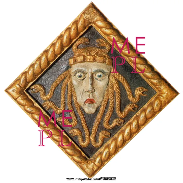  : Medusa, a well-known figure of Greek mythology with snakes for hair