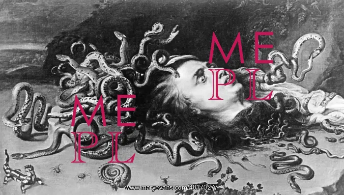 : Medusa, A Gorgon of Greek Mythology whose gaze could turn people to stone : Medusa, A Gorgon of Greek Mythology whose gaze could turn people to stone
