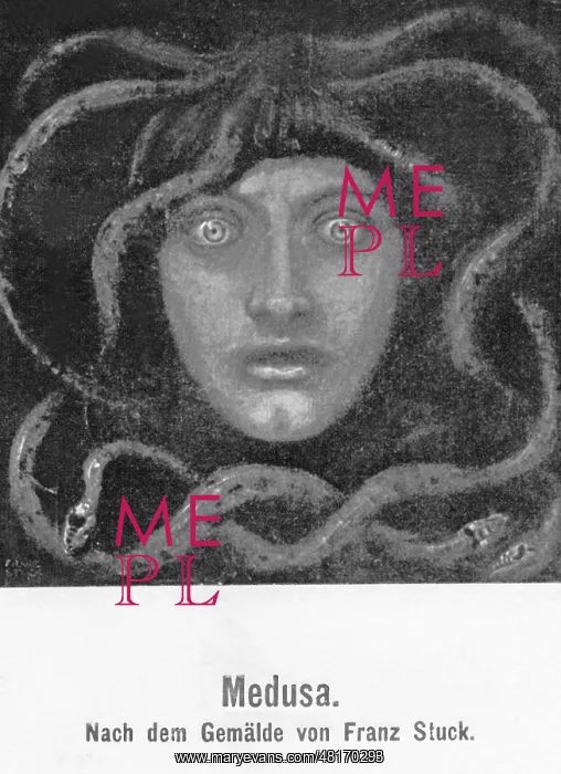 : Medusa, A Gorgon of Greek Mythology whose gaze could turn people to stone : Medusa, A Gorgon of Greek Mythology whose gaze could turn people to stone