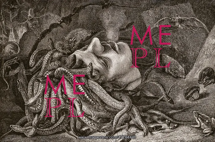 : Medusa, by Leonardo da Vinci : Medusa, by Leonardo da Vinci