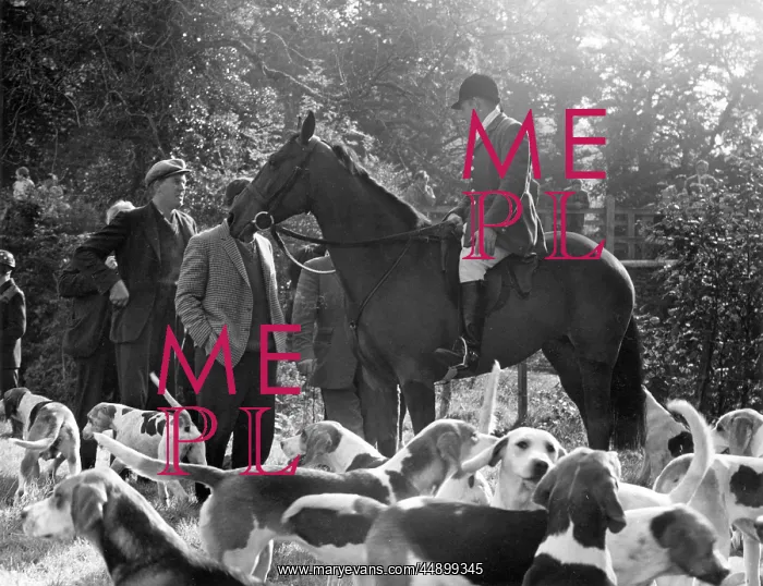 : Meet of the Devon and Somerset hounds : Meet of the Devon and Somerset hounds