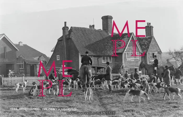 : The Meet at Sedlescombe : The Meet at Sedlescombe