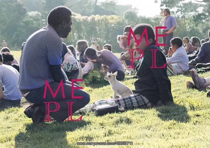 : Meeting in Golden Gate Park 1969 : Meeting in Golden Gate Park 1969