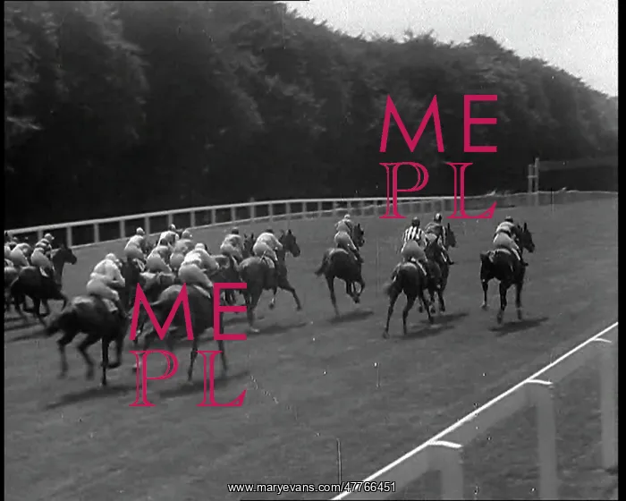 : A Meeting at Goodwood Course With The Horses : A Meeting at Goodwood Course With The Horses