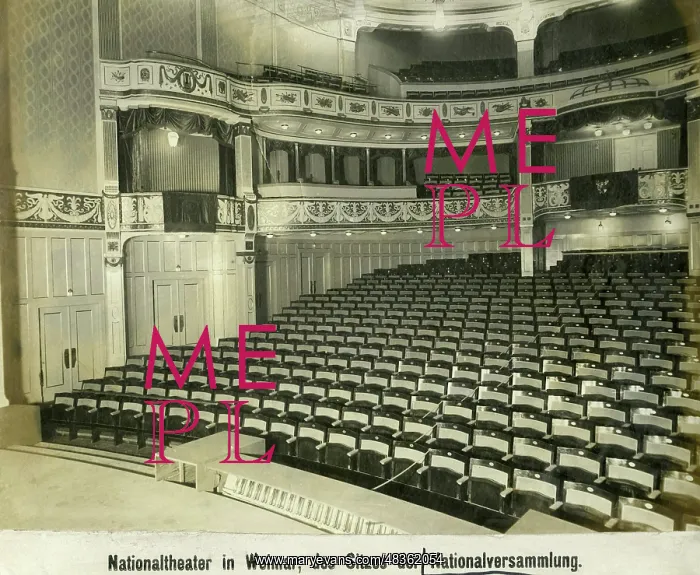 : Meeting of the National Assembly, 1919 : Meeting of the National Assembly, 1919