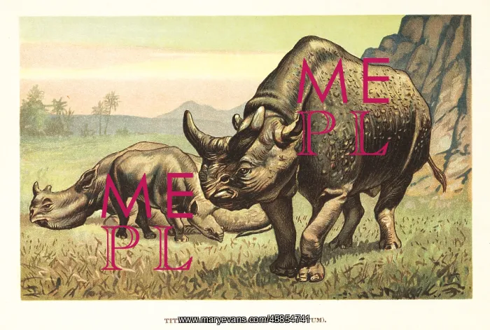 : Megacerops, extinct genus of odd-toed ungulates : Megacerops, extinct genus of odd-toed ungulates