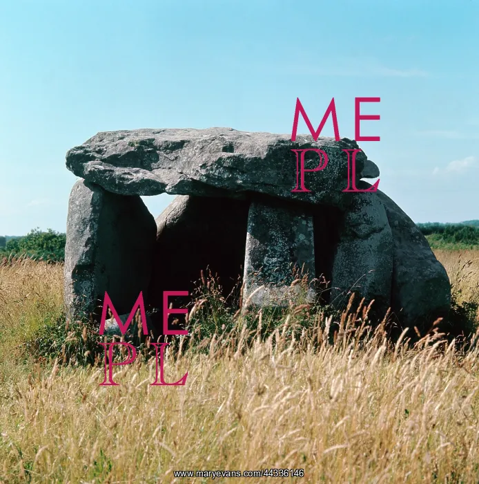 : Megalithic dolmen near Carnac : Megalithic dolmen near Carnac