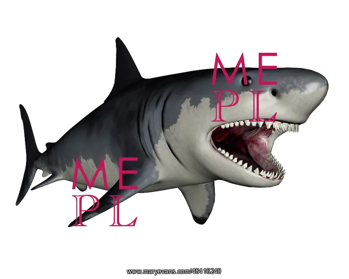 : Megalodon dinosaur : Megalodon dinosaur