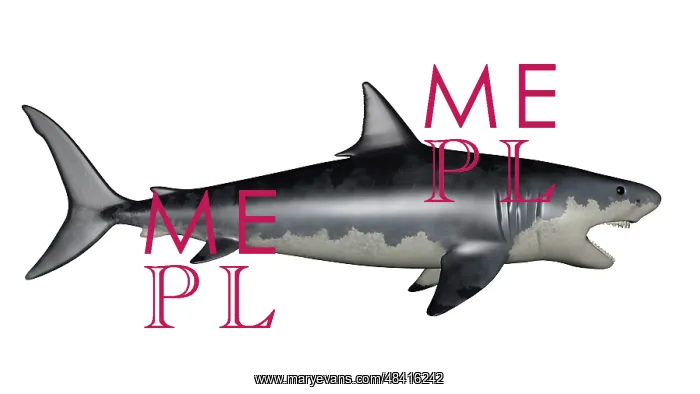 : Megalodon dinosaur : Megalodon dinosaur