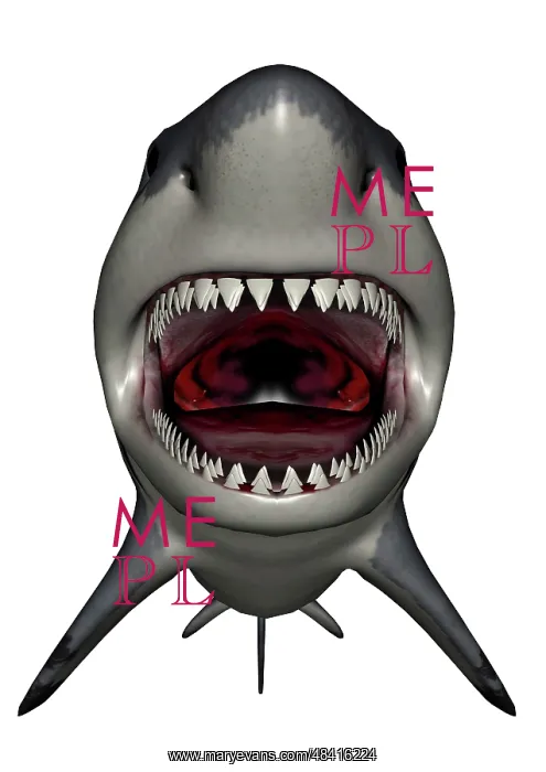 : Megalodon dinosaur with mouth open : Megalodon dinosaur with mouth open
