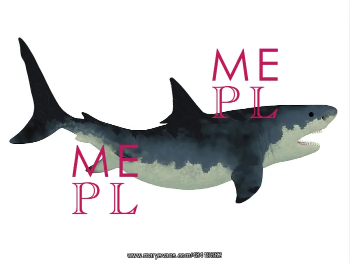 : Megalodon shark : Megalodon shark