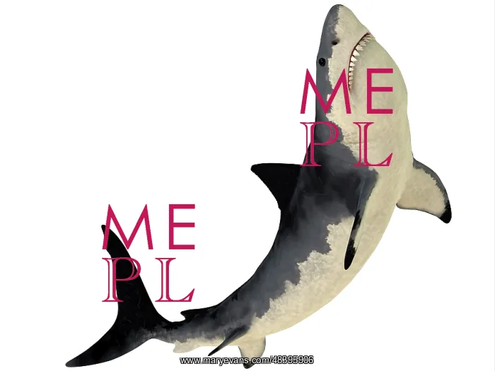 : A Megalodon shark from the Cenozoic Era : A Megalodon shark from the Cenozoic Era