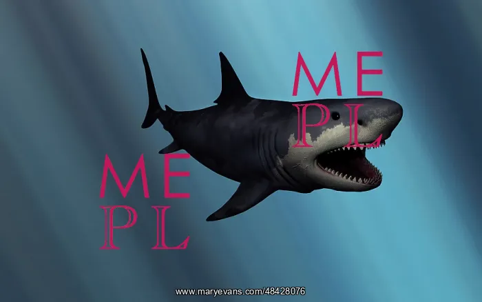 : A Megalodon shark from the Cenozoic Era : A Megalodon shark from the Cenozoic Era