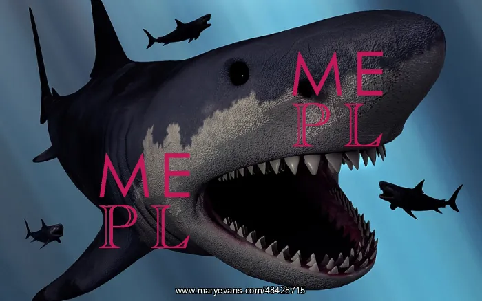 : A Megalodon shark from the Cenozoic Era : A Megalodon shark from the Cenozoic Era