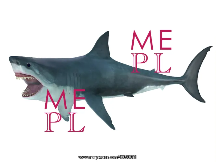  : Megalodon shark, side profile