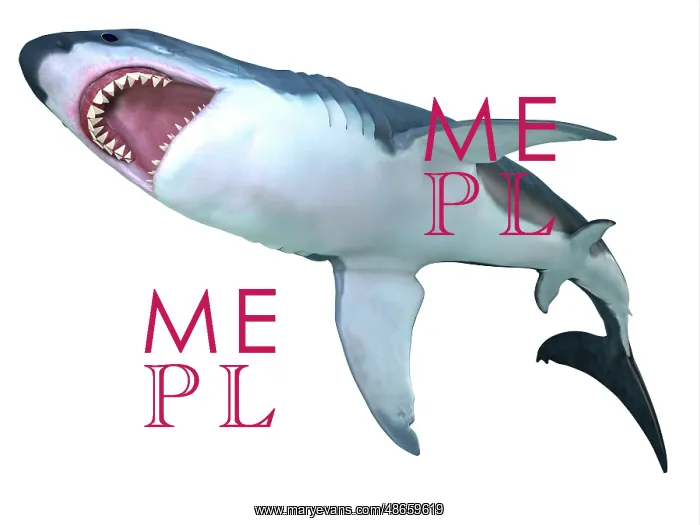 : Megalodon shark underbelly : Megalodon shark underbelly