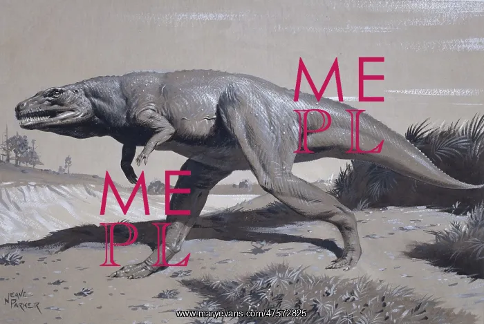 : Megalosaurus : Megalosaurus