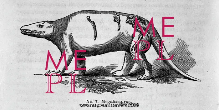 : Megalosaurus : Megalosaurus