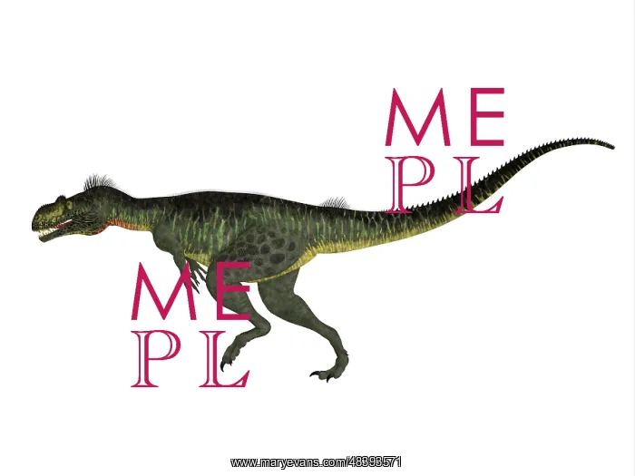 : Megalosaurus dinosaur, side view : Megalosaurus dinosaur, side view