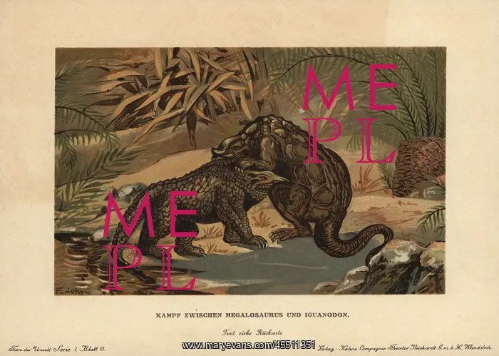 : Megalosaurus, extinct carnivorous theropod : Megalosaurus, extinct carnivorous theropod