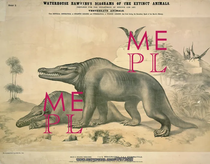 : Megalosaurus and Pterodactyle : Megalosaurus and Pterodactyle