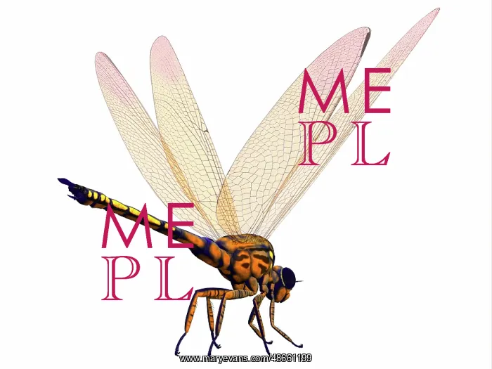 : Meganeura dragonfly on white background : Meganeura dragonfly on white background