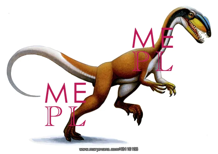  : Megapnosaurus, a small dinosaur from the early Jurassic