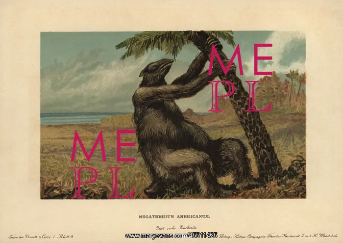 : Megatherium americanum, extinct genus of giant : Megatherium americanum, extinct genus of giant