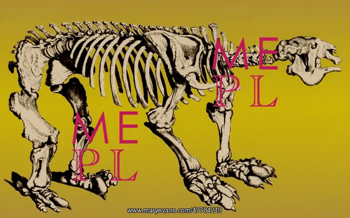 : Megatherium, Cenozoic Ground Sloth : Megatherium, Cenozoic Ground Sloth