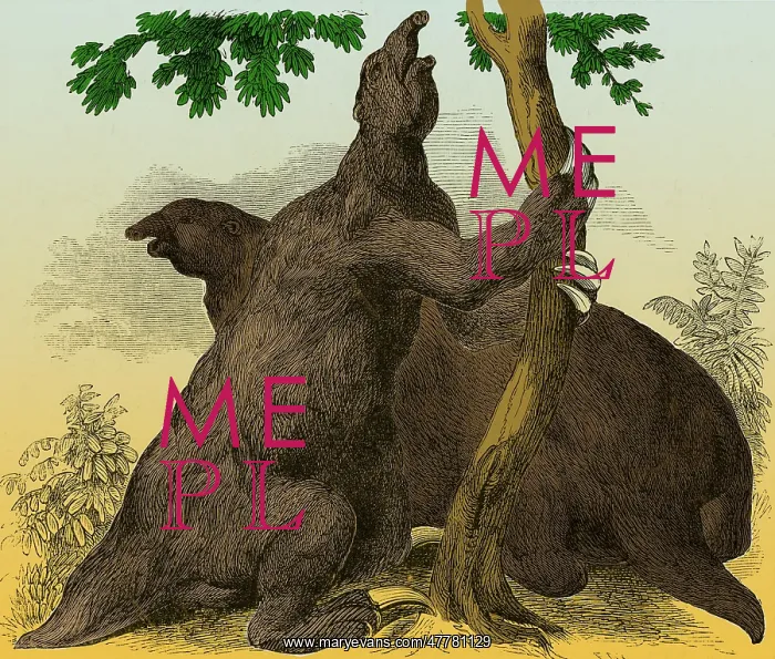 : Megatherium, Cenozoic Mammal : Megatherium, Cenozoic Mammal