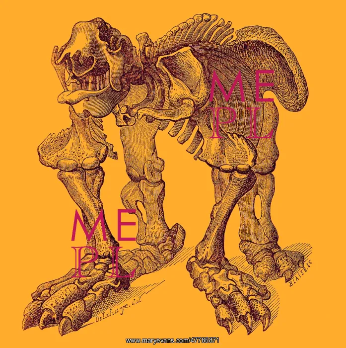 : Megatherium, Cenozoic Mammal : Megatherium, Cenozoic Mammal