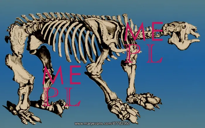 : Megatherium, Extinct Ground Sloth : Megatherium, Extinct Ground Sloth