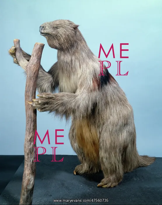 : Megatherium, giant ground sloth : Megatherium, giant ground sloth