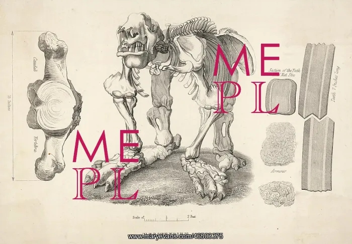 : Megatherium - Giant Sloth : Megatherium - Giant Sloth