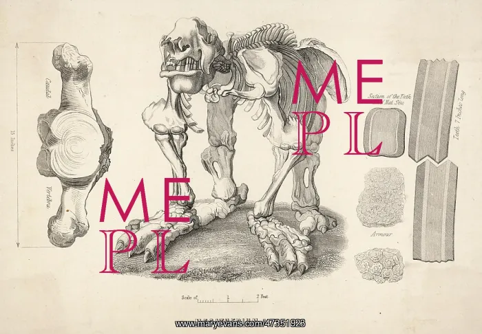: Megatherium - Giant Sloth : Megatherium - Giant Sloth