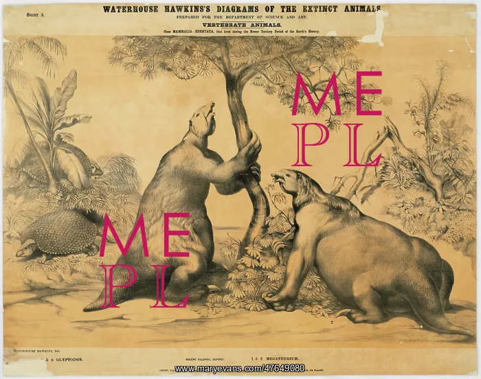 : Megatherium and Glyptodon : Megatherium and Glyptodon