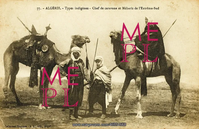 : Meharis tribe of Southern Algeria : Meharis tribe of Southern Algeria